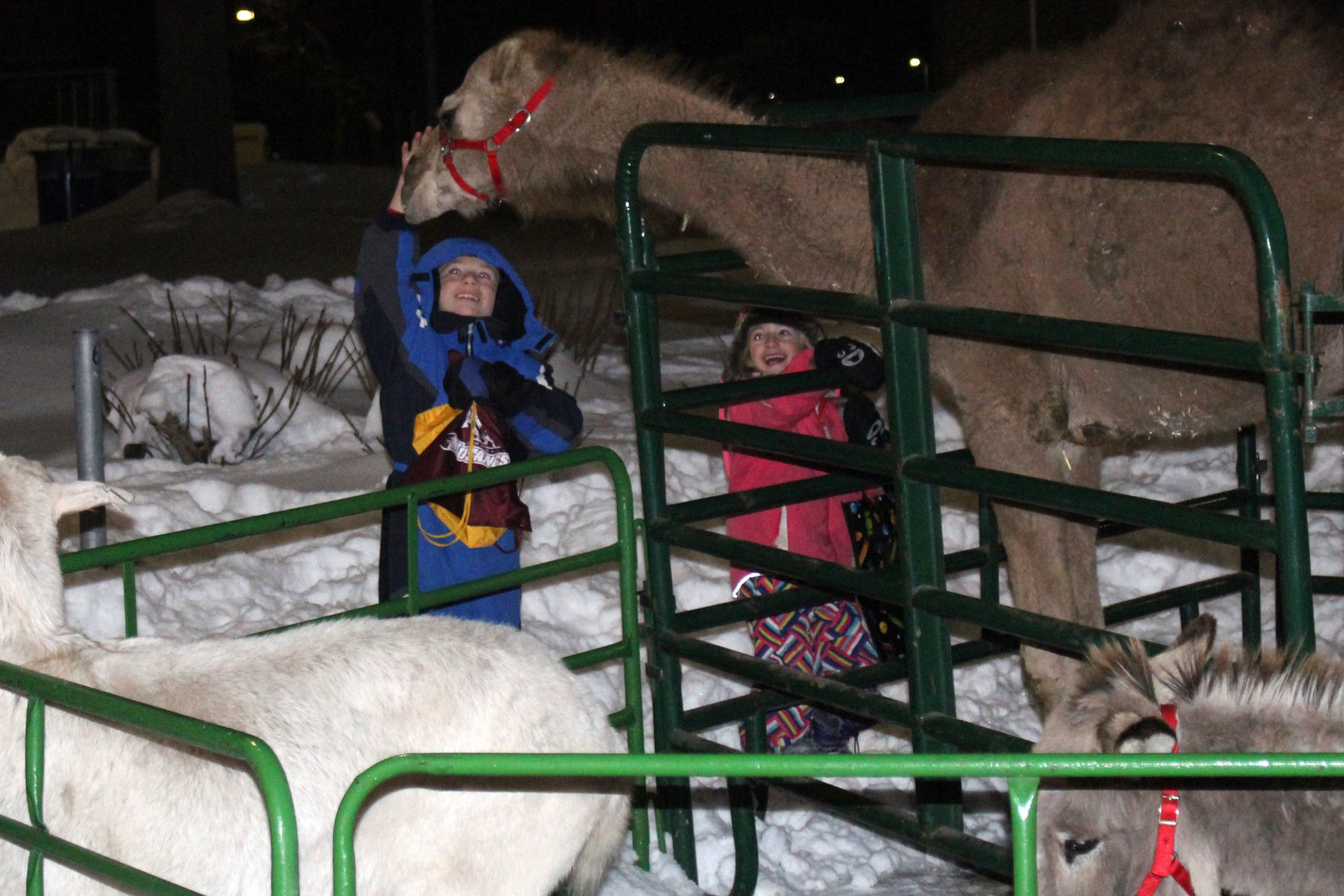 Menomonie WinterDaze Parade 12-12-19